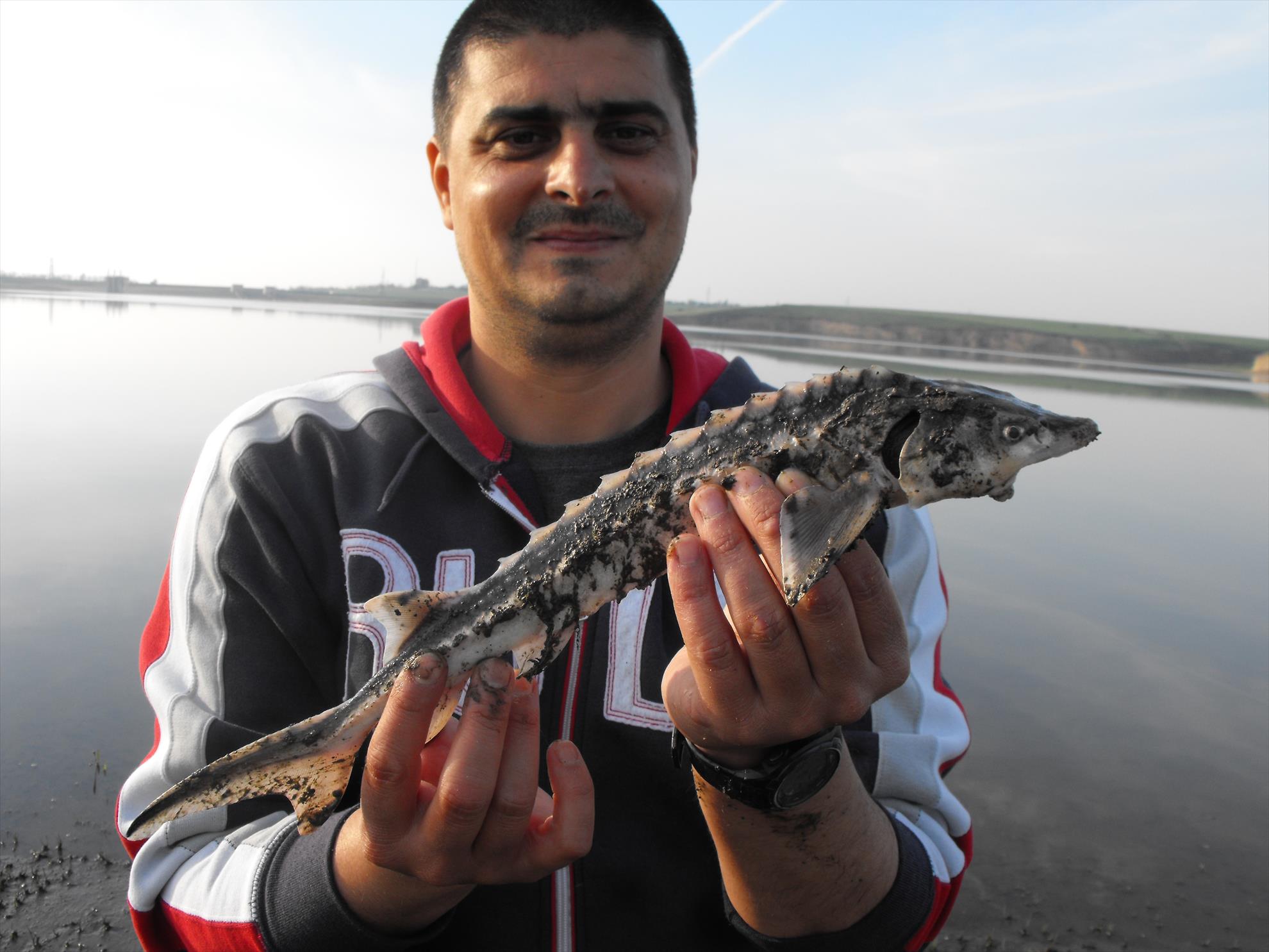 sarulesti, 18.06.2011 - dscf02621.JPG